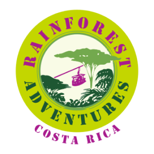Rainforest